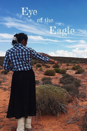 Eye of the Eagle
