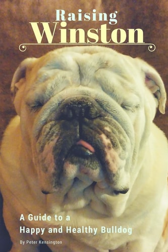 Raising Winston A Guide to a Happy and Healthy Bulldog
