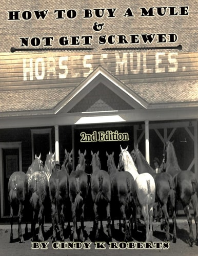 How to Buy a Mule and Not Get Screwed