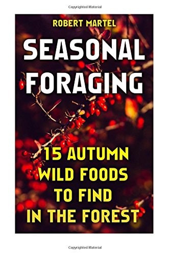 Seasonal Foraging 15 Autumn Wild Foods to Find In The Forest: (Edible Wild Plants)