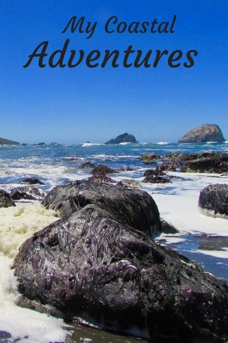 My Coastal Adventures A Travel Diary