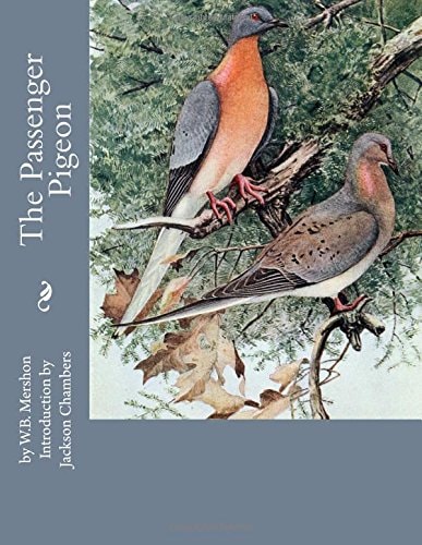 The Passenger Pigeon