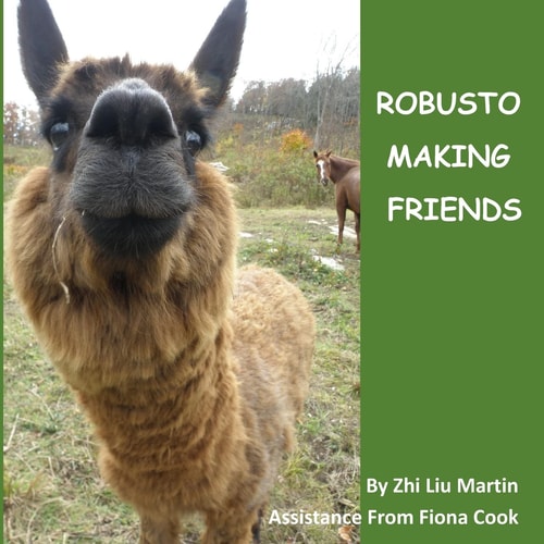 ROBUSDOR Making Friends