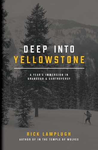 Deep Into Yellowstone A Year's Immersion in Grandeur and Controversy