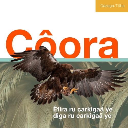 Coora Êfira Ru Carkigaã Ye Diga Ru Carkigaã Ye