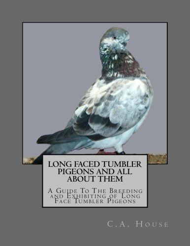Long Faced Tumbler Pigeons and All About Them A Guide To The Breeding and Exhibiting of Long Face Tumbler Pigeons