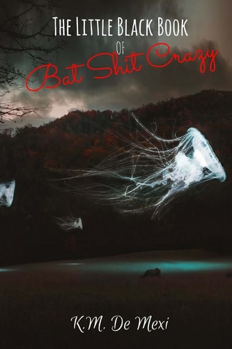 The Little Black Book of Bat Shit Crazy