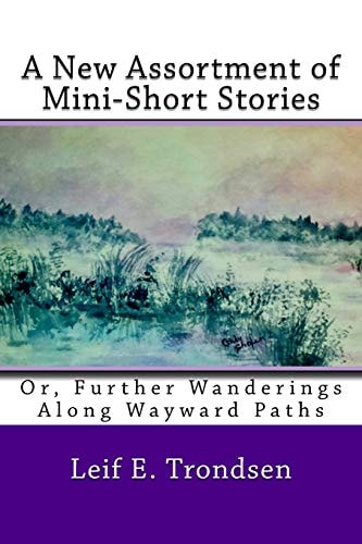 A New Assortment of Mini-Short Stories: Or, Further Wanderings Along Wayward Paths