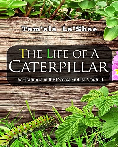 The Life Of A Caterpillar Workbook The Healing Is In The Process and It's Worth It!