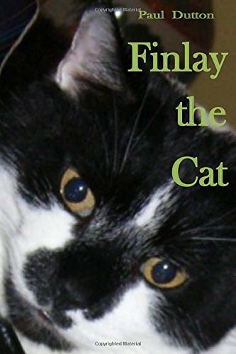Finlay the Cat