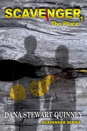 Scavenger The Place
