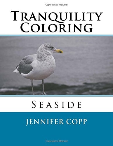 Tranquility Coloring Seaside