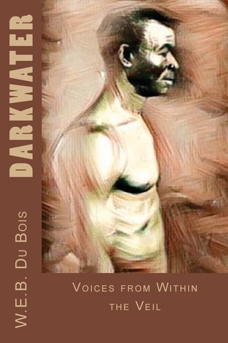 Darkwater Voices from Within the Veil