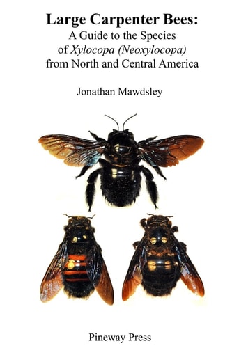 Large Carpenter Bees A Guide to Species of Xylocopa (Neoxylocopa) from North and Central America
