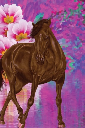 Assignment Book Horse