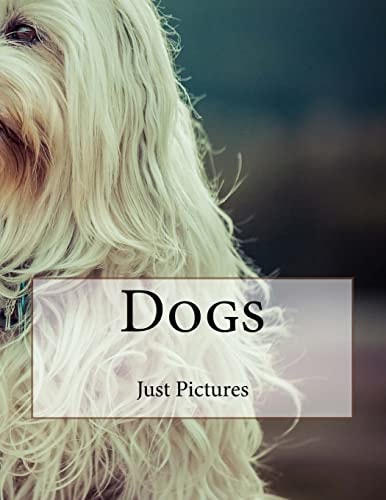 Dogs