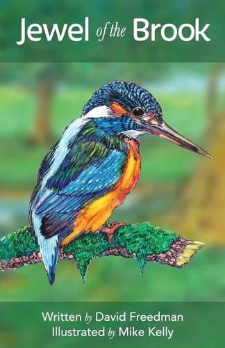Jewel of the Brook The Kingfisher's Tale