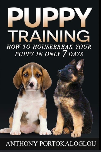 Puppy Training 2 How to Housebreak Your Puppy in Only 7 Days