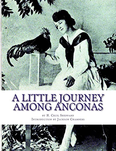 A Little Journey Among Anconas Breeding and Keeping the Ancona Chicken