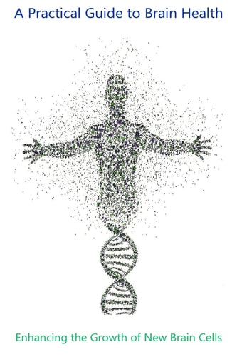 Enhancing the Growth of New Brain Cells