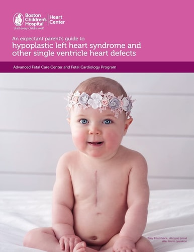 An Expectant Parent's Guide to Hypoplastic Left Heart Syndrome and Other Single Ventricle Heart Defects