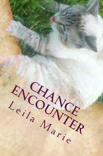Chance Encounter The Journey Emerald's Travels