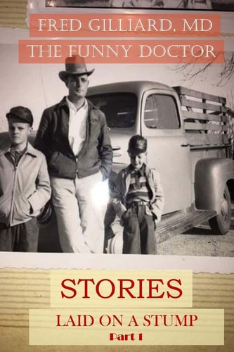 Stories Laid on a Stump Pt 1 Stories by Bad Billy Laveau