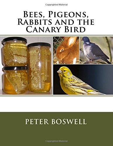 Bees, Pigeons, Rabbits and the Canary Bird