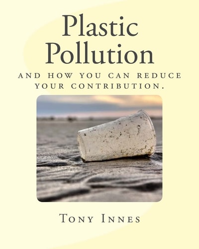 Plastic Pollution And How You Can Reduce Your Contribution