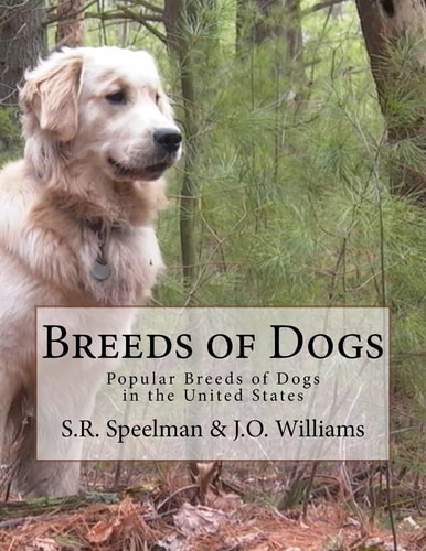 Breeds of Dogs Popular Breeds of Dogs in the United States