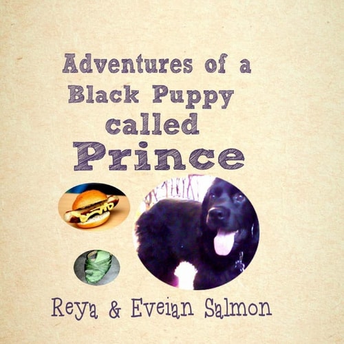 Adventures of a Black Puppy Called Prince