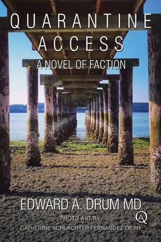 Quarantine Access A Novel of Faction