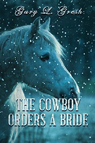 The Cowboy Orders a Bride Twin Fork Series