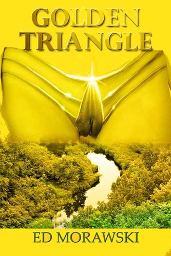 Golden Triangle A Wolinski Tale