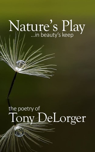 Nature's Play... in Beauty's Keep