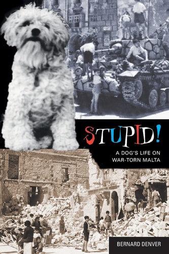 Stupid