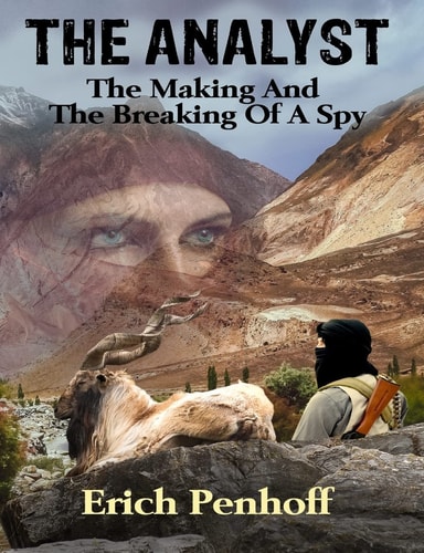 The Analyst The Making and the Breaking of a Spy.