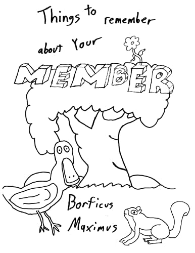 Things to Remember About Your Member A Whimsical Coloring Book for Adults