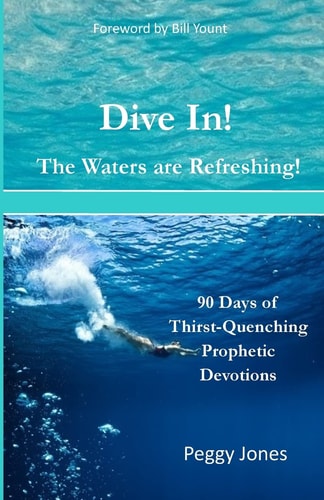 Dive In! The Waters are Refreshing! 90 Days of Thirst Quenching Prophetic Devotions
