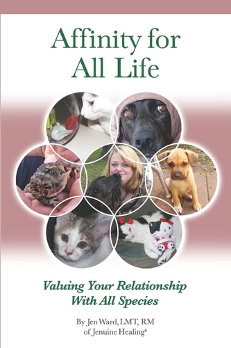 Affinity for All Life Valuing Your Relationship with All Species