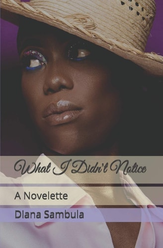 What I Didn't Notice A Novelette