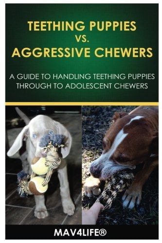 Teething Puppies Vs. Aggressive Chewers A Guide to Handling Teething Puppies Through to Adolescent Chewers