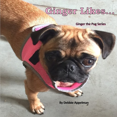 Ginger Likes...