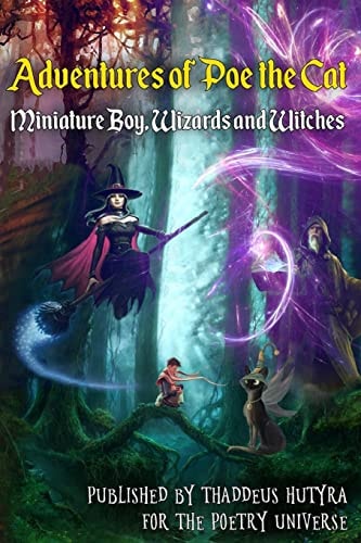 Adventures of Poe the Cat Miniature Boy, Wizards and Witches