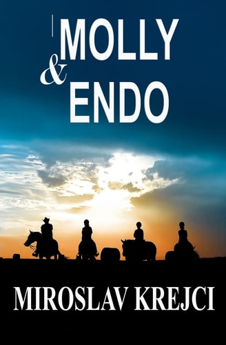 Molly and Endo A Story about Horses