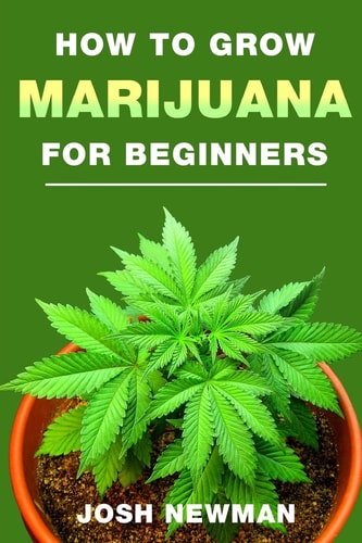 How to Grow Marijuana A Beginners Guide for Indoor and Outdoor Growing for Medicinal Use