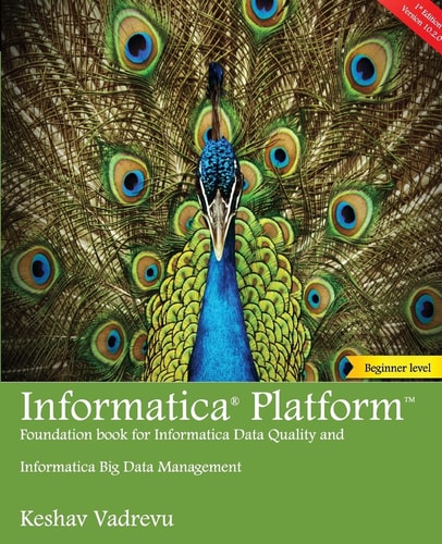 Informatica Platform A Beginner's Guide - Foundation Book for Informatica Data Quality and Big Data Management