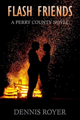 Flash Friends A Perry County Novel