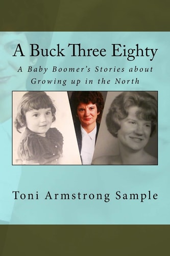 A Buck Three Eighty A Baby Boomer's Stories about Growing Up in the North