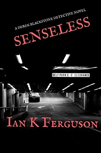 Senseless A Derek Blackstone Detective Novel